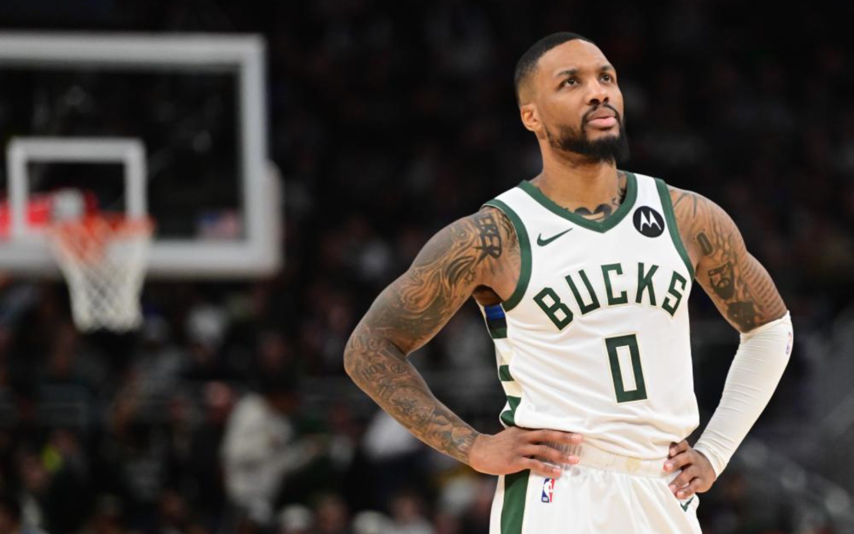 这一趋势不 这一趋势不