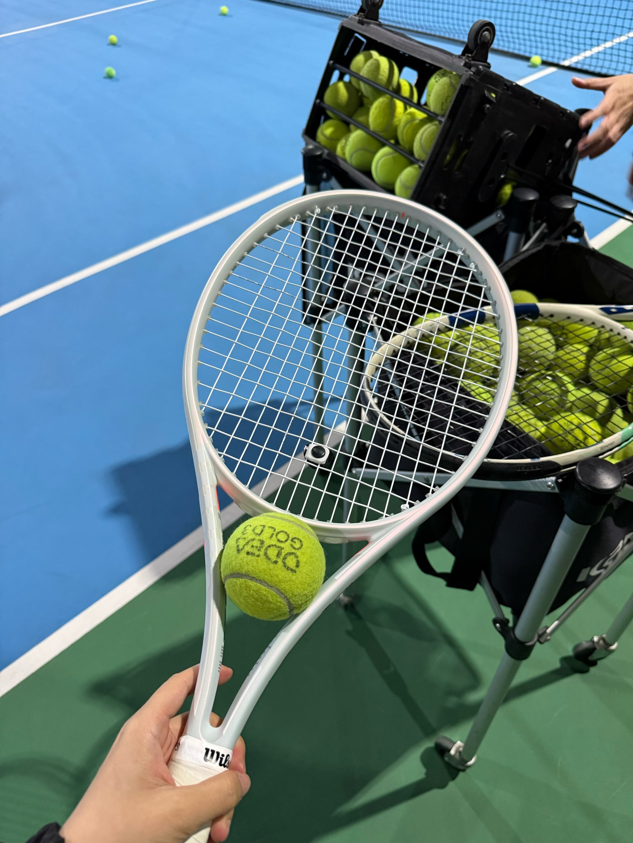 本场比赛不 本场比赛不