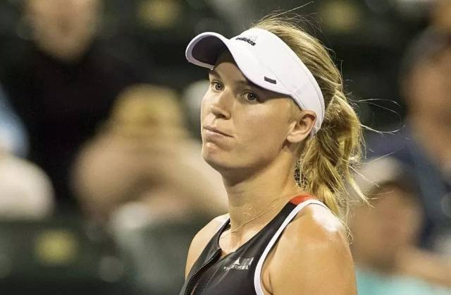 关注的亮点 关注的亮点